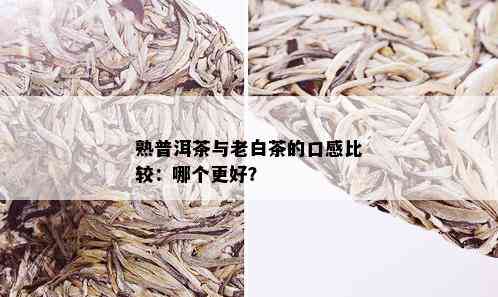 熟普洱茶与老白茶的口感比较：哪个更好？