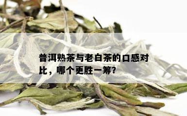 普洱熟茶与老白茶的口感对比，哪个更胜一筹？