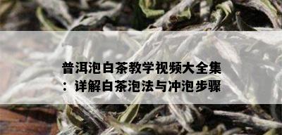 普洱泡白茶教学视频大全集：详解白茶泡法与冲泡步骤