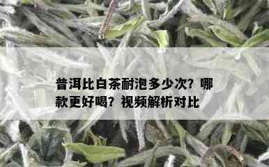 普洱比白茶耐泡多少次？哪款更好喝？视频解析对比