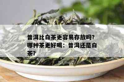 普洱比白茶更容易存放吗？哪种茶更好喝：普洱还是白茶？