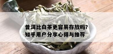 普洱比白茶更容易存放吗？知乎用户分享心得与推荐