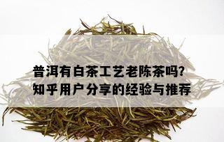 普洱有白茶工艺老陈茶吗？知乎用户分享的经验与推荐