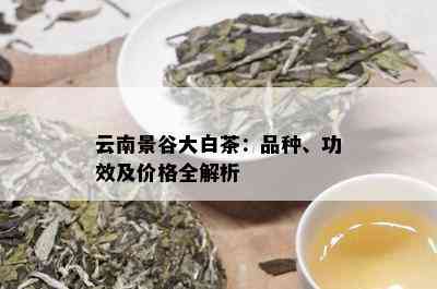 云南景谷大白茶：品种、功效及价格全解析