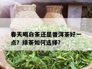 春天喝白茶还是普洱茶好一点？绿茶如何选择？