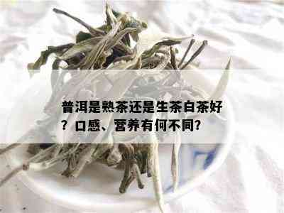 普洱是熟茶还是生茶白茶好？口感、营养有何不同？