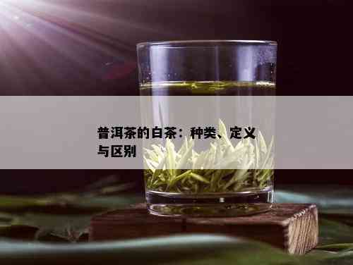 普洱茶的白茶：种类、定义与区别