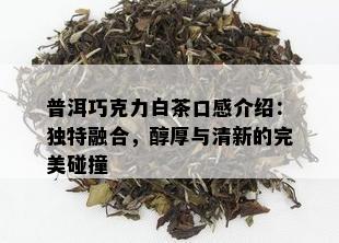 普洱巧克力白茶口感介绍：独特融合，醇厚与清新的完美碰撞