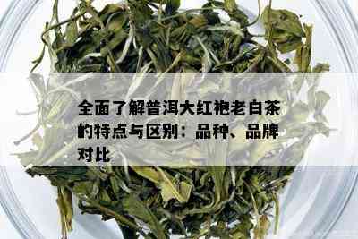 全面了解普洱大红袍老白茶的特点与区别：品种、品牌对比