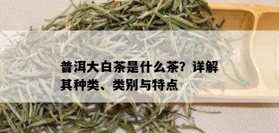 普洱大白茶是什么茶？详解其种类、类别与特点