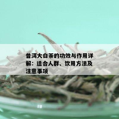 普洱大白茶的功效与作用详解：适合人群、饮用方法及注意事项