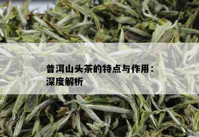 普洱山头茶的特点与作用：深度解析