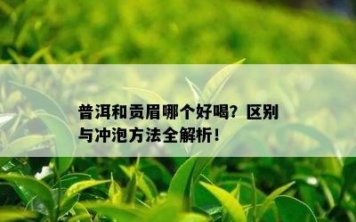 普洱和贡眉哪个好喝？区别与冲泡方法全解析！