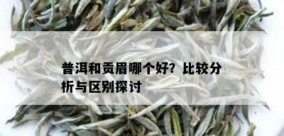 普洱和贡眉哪个好？比较分析与区别探讨