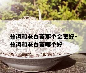 普洱和老白茶那个会更好-普洱和老白茶哪个好