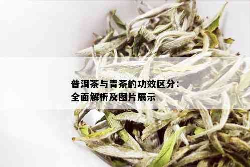 普洱茶与青茶的功效区分：全面解析及图片展示