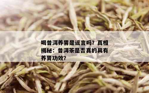 喝普洱养胃是谣言吗？真相揭秘：普洱茶是否真的具有养胃功效？