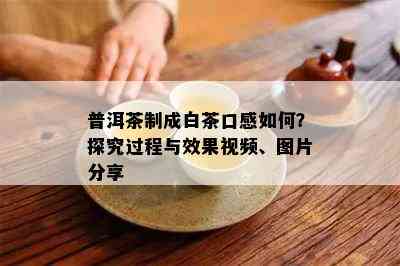 普洱茶制成白茶口感如何？探究过程与效果视频、图片分享