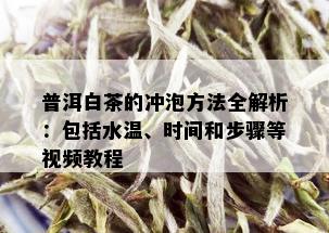 普洱白茶的冲泡方法全解析：包括水温、时间和步骤等视频教程