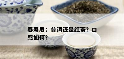 春寿眉：普洱还是红茶？口感如何？