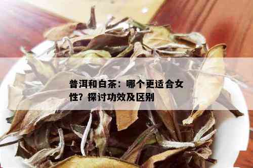 普洱和白茶：哪个更适合女性？探讨功效及区别