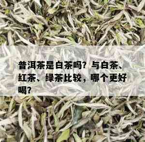 普洱茶是白茶吗？与白茶、红茶、绿茶比较，哪个更好喝？