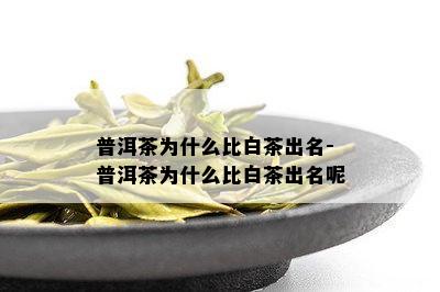 普洱茶为什么比白茶出名-普洱茶为什么比白茶出名呢