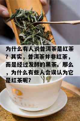 为什么有人说普洱茶是红茶？其实，普洱茶并非红茶，而是经过发酵的黑茶。那么，为什么有些人会误认为它是红茶呢？