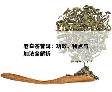 老白茶普洱：功效、特点与加法全解析