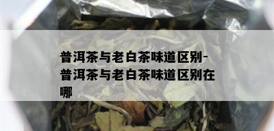 普洱茶与老白茶味道区别-普洱茶与老白茶味道区别在哪