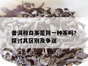 普洱和白茶是同一种茶吗？探讨其区别及争议