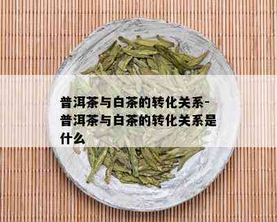 普洱茶与白茶的转化关系-普洱茶与白茶的转化关系是什么