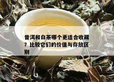 普洱和白茶哪个更适合收藏？比较它们的价值与存放区别