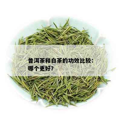 普洱茶和白茶的功效比较：哪个更好？