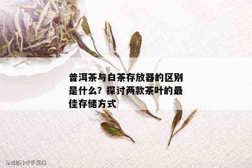 普洱茶与白茶存放器的区别是什么？探讨两款茶叶的更佳存储方式