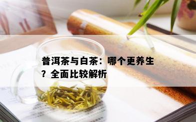 普洱茶与白茶：哪个更养生？全面比较解析