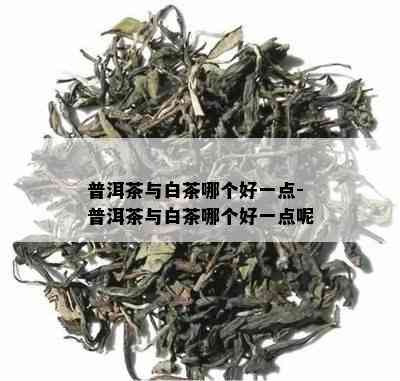 普洱茶与白茶哪个好一点-普洱茶与白茶哪个好一点呢