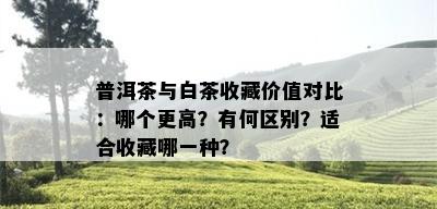 普洱茶与白茶收藏价值对比：哪个更高？有何区别？适合收藏哪一种？