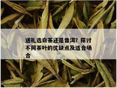 送礼选白茶还是普洱？探讨不同茶叶的优缺点及适合场合