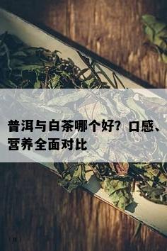 普洱与白茶哪个好？口感、营养全面对比