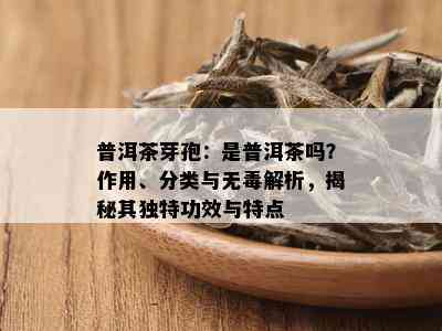 普洱茶芽孢：是普洱茶吗？作用、分类与无解析，揭秘其独特功效与特点