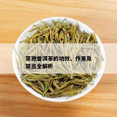 芽孢普洱茶的功效、作用及禁忌全解析