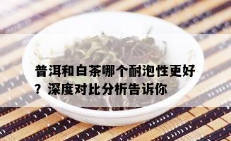 普洱和白茶哪个耐泡性更好？深度对比分析告诉你