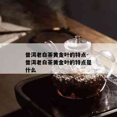 普洱老白茶黄金叶的特点-普洱老白茶黄金叶的特点是什么