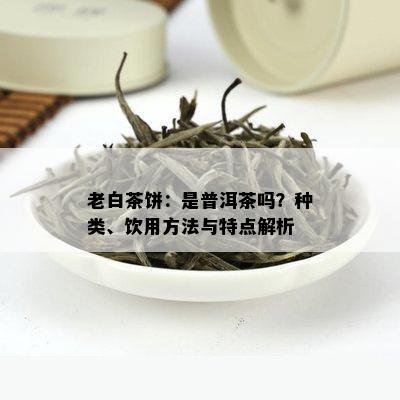 老白茶饼：是普洱茶吗？种类、饮用方法与特点解析