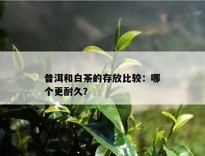 普洱和白茶的存放比较：哪个更耐久？