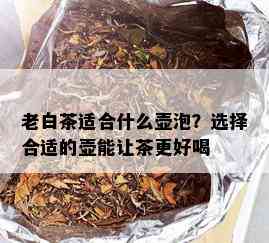 老白茶适合什么壶泡？选择合适的壶能让茶更好喝