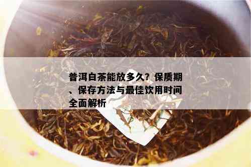 普洱白茶能放多久？保质期、保存方法与更佳饮用时间全面解析