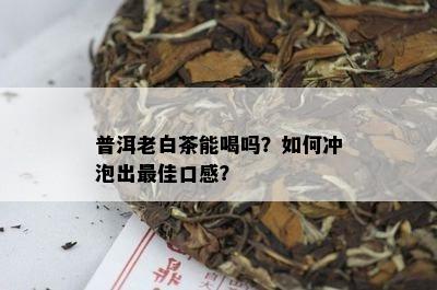 普洱老白茶能喝吗？如何冲泡出更佳口感？