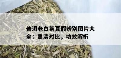 普洱老白茶真假辨别图片大全：高清对比，功效解析